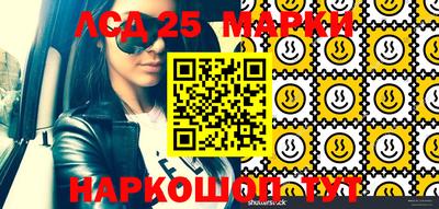 PSILOCYBIN Моздок